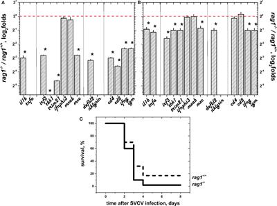 Zebra Fish Lacking Adaptive Immunity Acquire an Antiviral Alert State Characterized by Upregulated Gene Expression of Apoptosis, Multigene Families, and Interferon-Related Genes